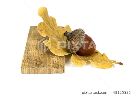 Acorn with oak leaf and piece of oak wood 48125525