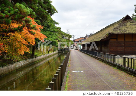 Autumn leaves of Shimizuen (Niigata) Autumn leaves of Shimizuen (Niigata) 48125726