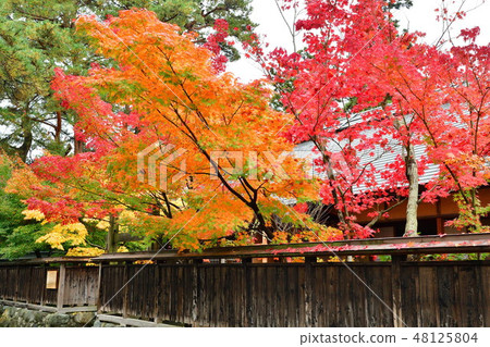 Autumn leaves of Shimizuen (Niigata) Autumn leaves of Shimizuen (Niigata) 48125804