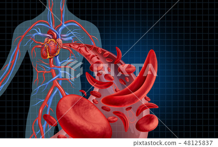 Sickle Cell Cardiovascular 48125837