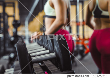 girl in the gym dumbbells girl in the gym dumbbells 48125958