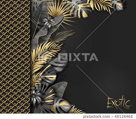 Vector tropical banner with gold and black exotic leaves on dark gray background. Luxury exotic Vector tropical banner with gold and black exotic leaves on dark gray background. Luxury exotic 48126468