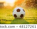 Soccer football on green grass field under rain 48127261