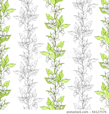 Floral seamless pattern with white flowers and green leaves 48127370