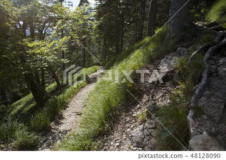 Mountain hiking at Herzogstand mountain Mountain hiking at Herzogstand mountain 48128090