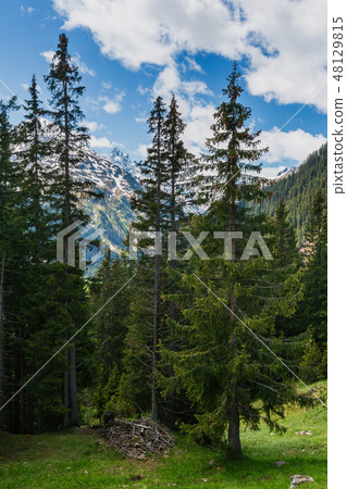 Alps mountain summer view, Austria Alps mountain summer view, Austria 48129815