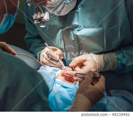 Cosmetic surgery on nose. The surgeon cuts the flesh 48130482