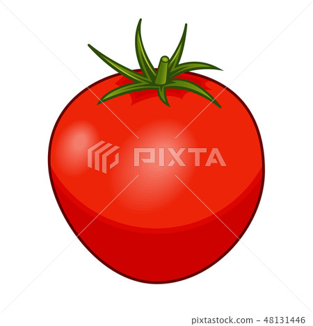 Fresh red tomato with green stem isolated on white background Fresh red tomato with green stem isolated on white background 48131446