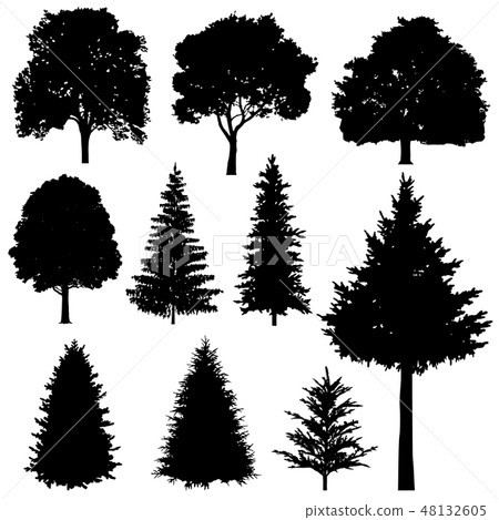 Forest coniferous and deciduous fir trees vector silhouettes set 48132605