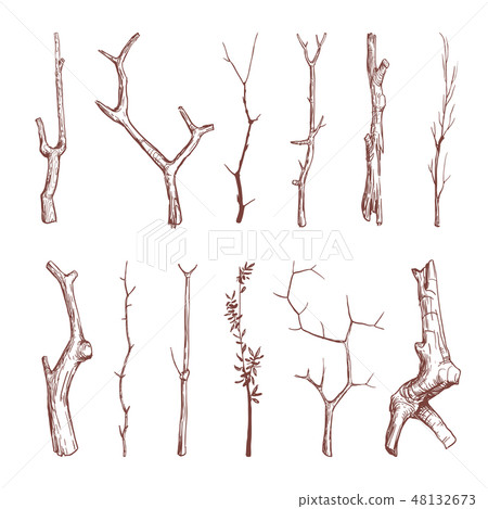 Hand drawn wood twigs, wooden sticks, tree branches vector rustic decoration elements 48132673
