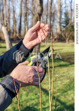 Gardening work in spring time Gardening work in spring time 48133643