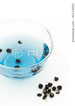 黑色Gojiberry棕色黑枸杞水果臟黑木耳棕色黑色·枸杞漿果·茶黑枸杞 48133683