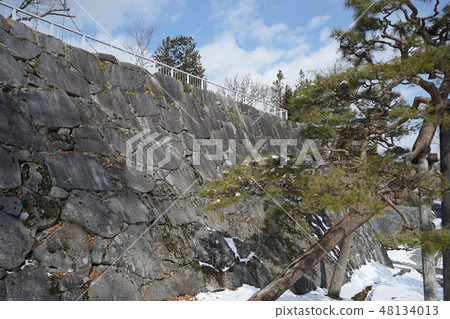 盛岡城堡踪影公園在冬天 盛岡城堡踪影公園在冬天 48134013
