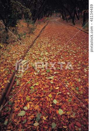 Changdeok Palace, Jongno-gu, Seoul Changdeok Palace, Jongno-gu, Seoul 48134489