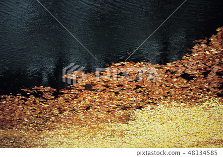 戶外，景觀 48134585