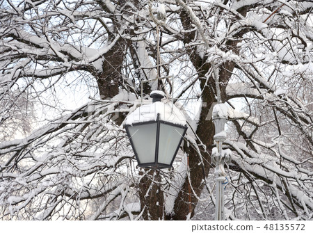 Street lamp in the old style. Street lamp in the old style. 48135572