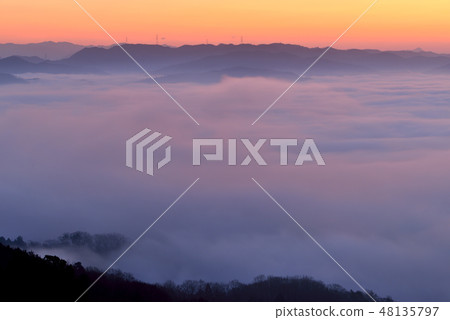 大撫山 大撫山 48135797