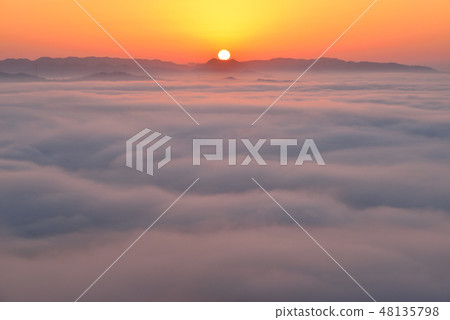大撫山 大撫山 48135798
