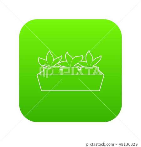 Young sprout seedlings in a flower box icon green vector Young sprout seedlings in a flower box icon green vector 48136329