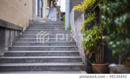 神樂坂鵝卵石遺蹟的成人城市 48136842