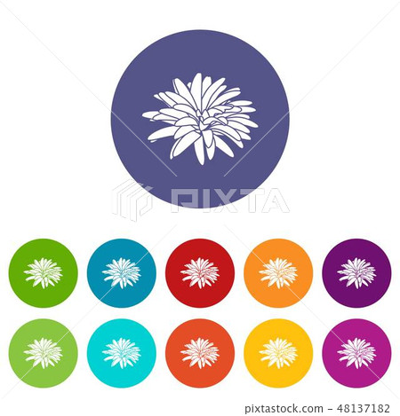 Aster flower icons set vector color 48137182