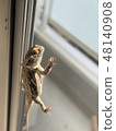 Lizards climbing screen doors 48140908