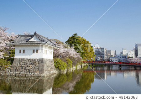 小田原城堡護城河,學校橋樑,maidian彎曲的輪子 小田原城堡護城河,學校橋樑,maidian彎曲的輪子 48142068