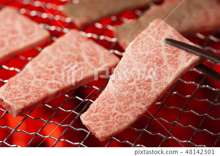  Grilled meat 48142301