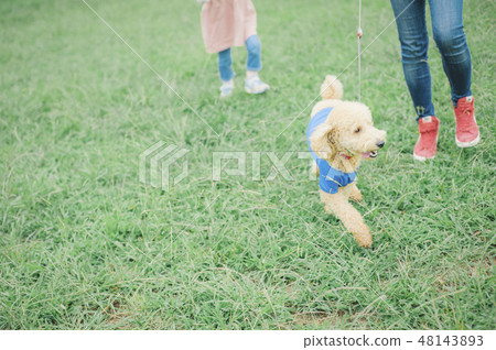 Dog and Osanpo image 48143893