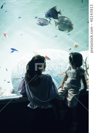 Aquarium Family Aquarium Family 48143913