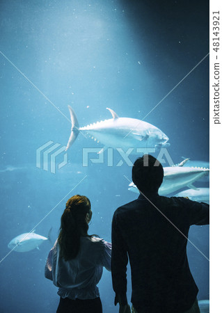 水族館夫婦 48143921