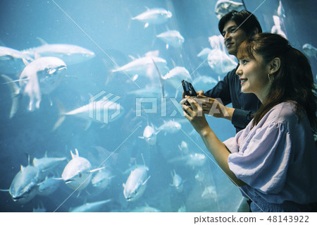 Aquarium couple couple 48143922