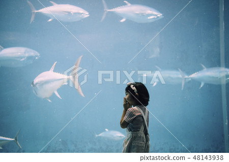 水族館兒童女孩 水族館兒童女孩 48143938