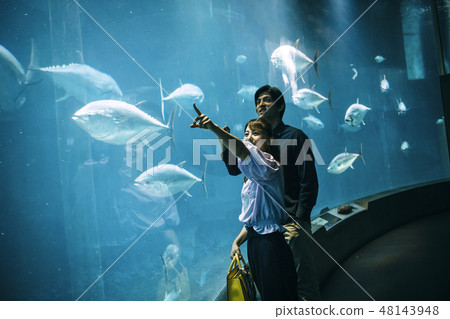 Aquarium couple couple 48143948