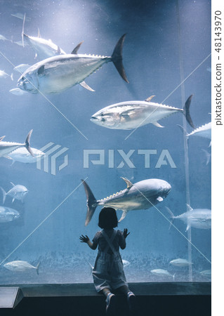 Aquarium children girls Aquarium children girls 48143970