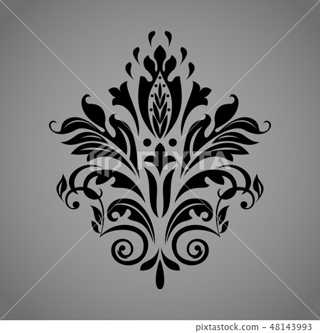 Damask graphic ornament. Floral design element.  48143993