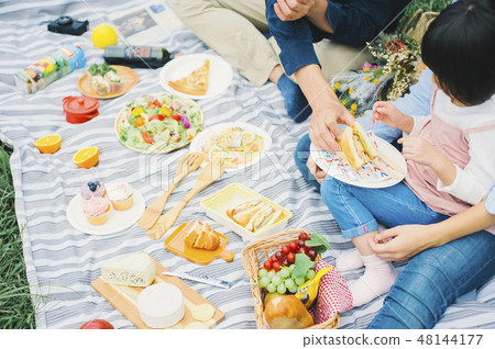 野餐家庭 野餐家庭 48144177