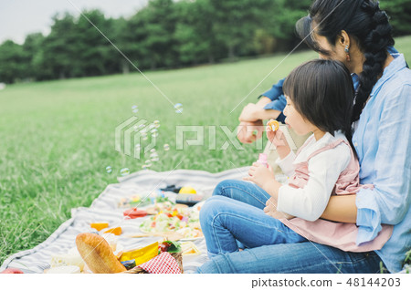 Picnic family Picnic family 48144203