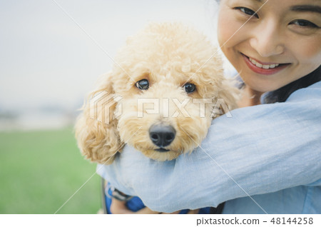 Dog and Osanpo image 48144258