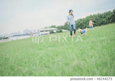 狗和Osanpo圖像 48144273