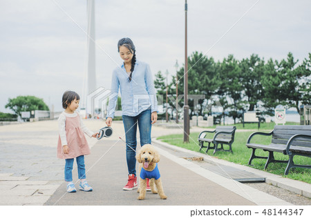 Dog and Osanpo image Dog and Osanpo image 48144347
