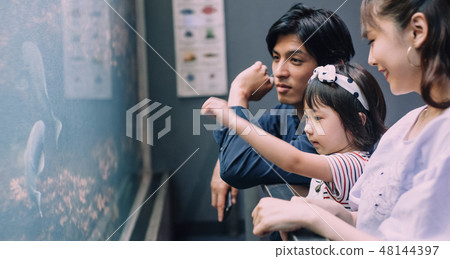 Aquarium Family Aquarium Family 48144397