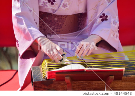 Koto's performance (plum festival) Koto's performance (plum festival) 48144848