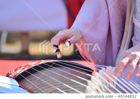 Koto's performance (plum festival) Koto's performance (plum festival) 48144852