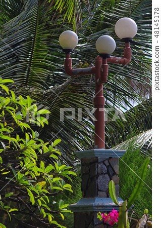 street lamps among coconut leaves street lamps among coconut leaves 48145178