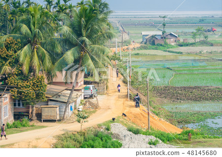 Village in Assam India near rice fields Village in Assam India near rice fields 48145680
