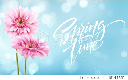 Gerbera Flower Background and Spring time Lettering. Vector Illustration Gerbera Flower Background and Spring time Lettering. Vector Illustration 48145861