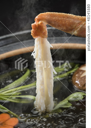 螃蟹涮鍋 螃蟹涮鍋 48145880