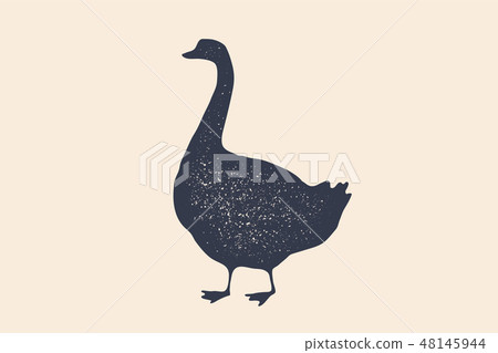 Goose, bird. Concept design of farm animals Goose, bird. Concept design of farm animals 48145944