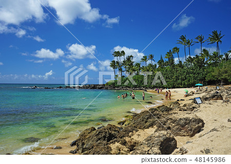 Hawaii · Laniakea · Beach 48145986